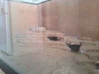100 gallon leo gecko tank 02.jpg