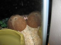 IMG_0828.jpg