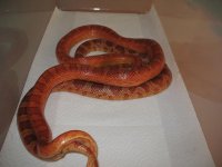 IMG_0023.JPG