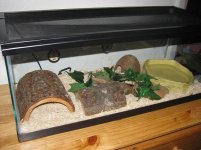 IMG_0833.jpg