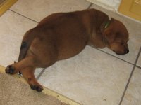 IMG_1074.JPG