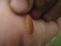 IMG_1804.JPG