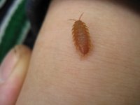 IMG_1805.JPG