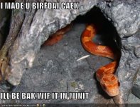 IMADEUBIRFDAI128442619408281250.jpg