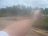 great hoggie 3.jpg