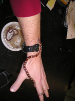 reptile-pics 282.jpg