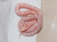 Forum BM09-01 002.jpg