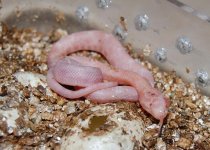 Forum BM09-05 001.jpg