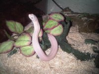 IMG00230-20100503-1653 (Medium).jpg