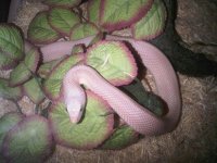 IMG00238-20100503-1704 (Medium).jpg