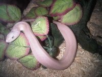 IMG00239-20100503-1705 (Medium).jpg