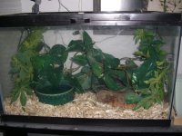 El Wray's Viv.jpg