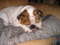 sleepy scrunchy face.jpg