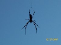 Gator Creek (32).jpg