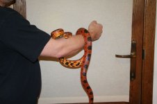 IMG_9799.jpg