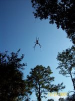 Gator Creek (34).jpg