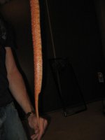 fluffy-tail-2.jpg