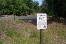 Gator Creek (27a).JPG