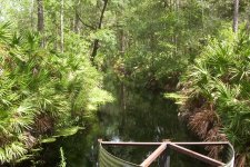 Gator Creek (21a).JPG