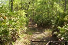 Gator Creek (22a).JPG