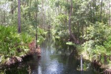 Gator Creek (23a).JPG