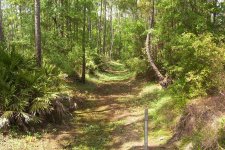 Gator Creek (24)a.JPG