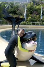 KillerWhale_VollhardtAP_468x705.jpg 468×705 pixels.jpg