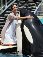 KillerWhale_000739004.jpg 290×387 pixels.jpg