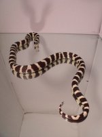 2010_06150013.JPG