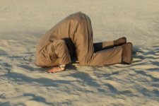 head_in_sand 01.jpg