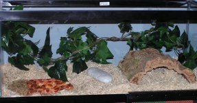 Draco's Digs II.jpg
