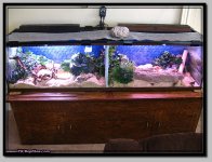 110g divided.JPG