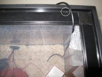 cagedilemna003.jpg
