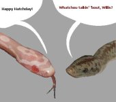 vv bday.JPG
