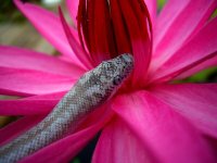 Noah_Mrs. George 027_800new.jpg