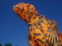 Ares April 2009 009cr.jpg