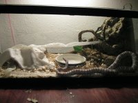 20110123_1.JPG