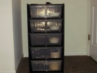 Rack.JPG