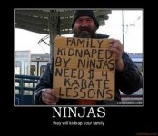 ninjas karate lessons kidnapped  bum hobo panhandler motivational poster posters inspirational f.jpg