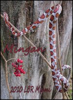 20110123_3mingan.jpg