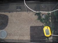 SDC13007.jpg