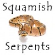 SquamishSerpents