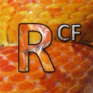 RobbiesCornField