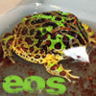 PacmanEOS