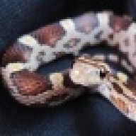 ssssinful-1