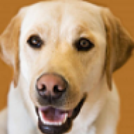 Maxxiefoo