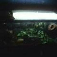 matty_022001