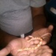 nellyp
