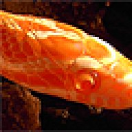 UKCryptid