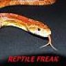 Reptile freak